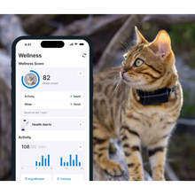 Load image into Gallery viewer, Tractive GPS Tracker CAT Mini