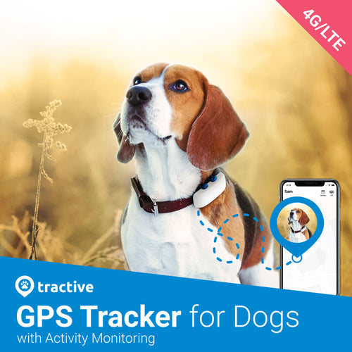 Tractive gps tæki